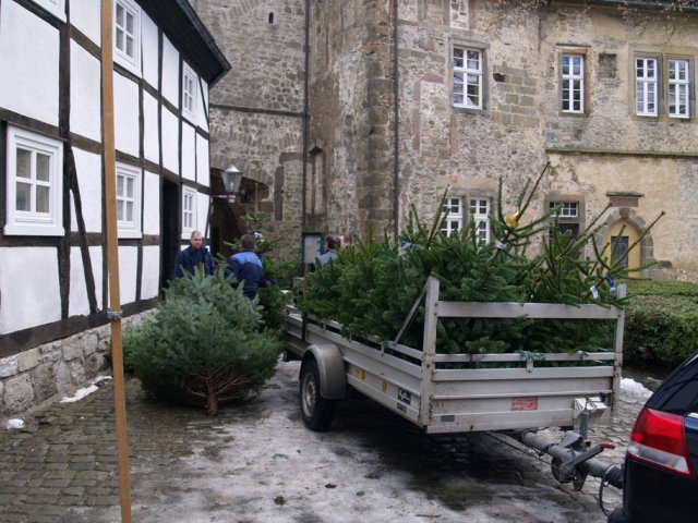 Weihnachtsbaumverkauf 2012